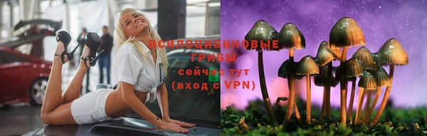 хмурый Алексеевка