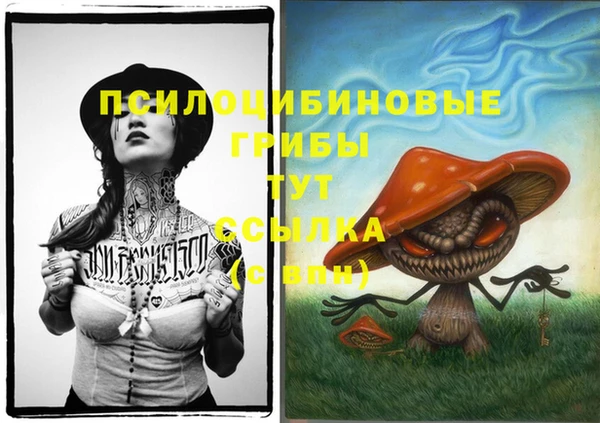 apvp Алексин