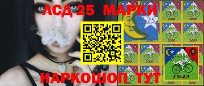 мяу мяу мука Гагарин