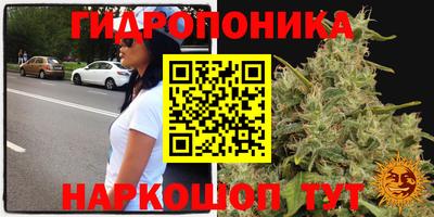 дистиллят марихуана Гай