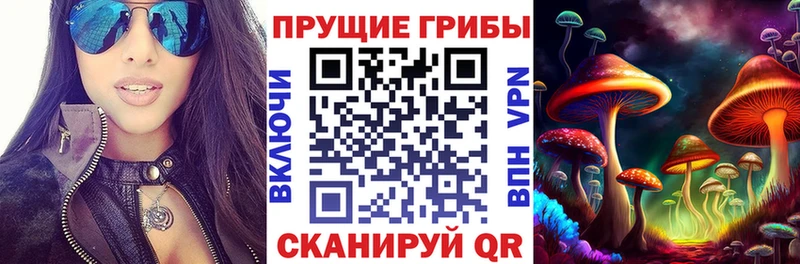 даркнет какой сайт Изобильный Галлюциногенные грибы ЛСД