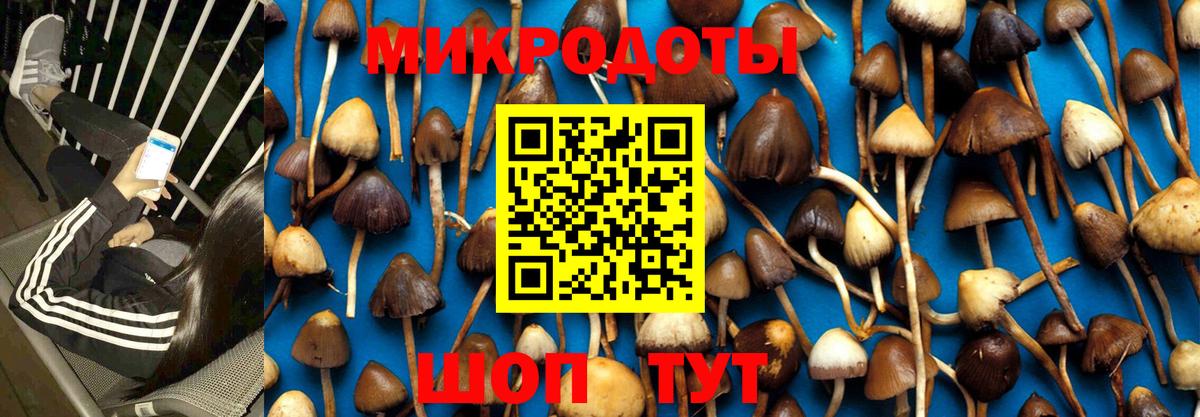 Псилоцибиновые грибы мицелий Изобильный